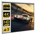 Beamer Leinwand 244 x 183 cm 120 Zoll 4:3/ 16:9 Projektionsleinwand Manuell f¨¹r Heimkino