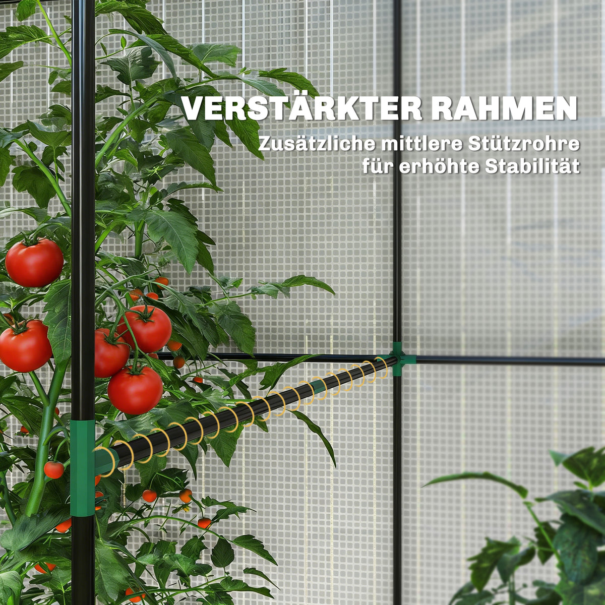 Walk-in Greenhouse, Outdoor Tomato Greenhouse with Roll-up Door and Mesh Windows, PE Cover, 200 x 140 x 200cm, White
