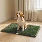 Hundetoilette 76 x 50,5 cm Hundeklo mit 2 Kunstrasen waschbar Welpentoilette für Hunde für Balkon Zuhause Schwarz+Grün