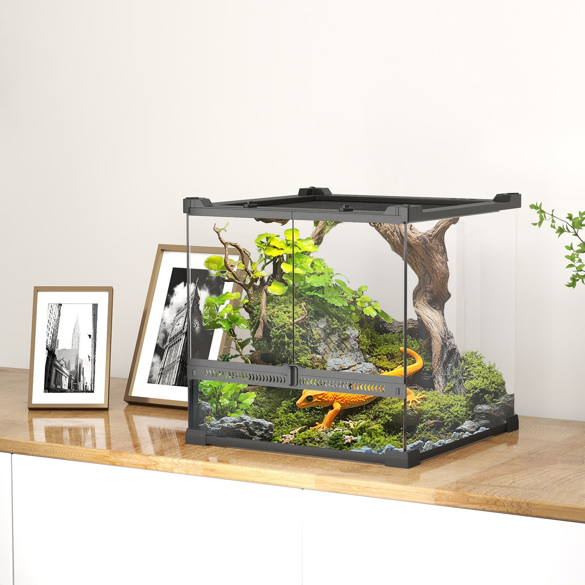 Glas-Terrarium f¨¹r Reptilien, erh?hter & wasserdichter Boden, Knopfschloss