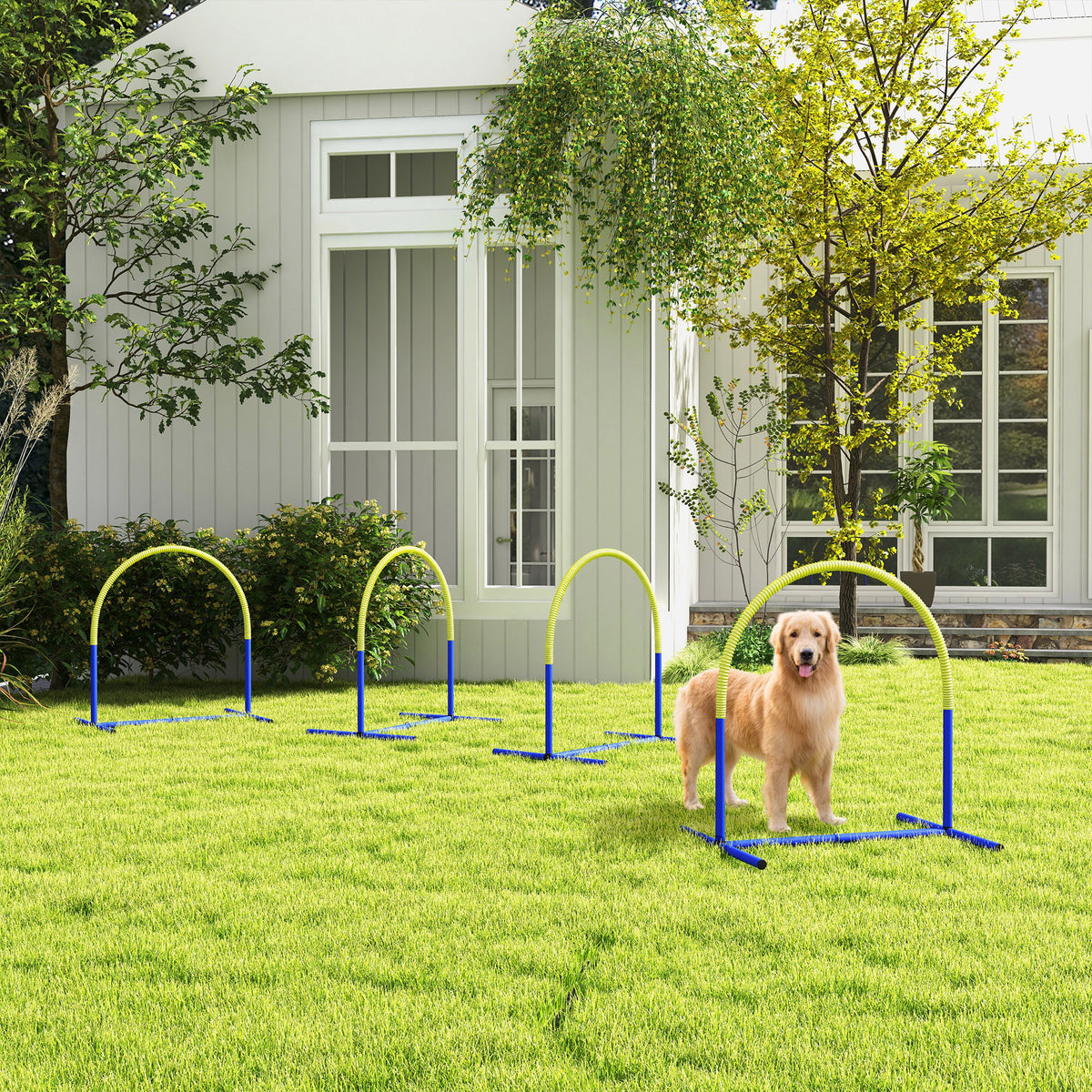 Agility-Set für Hunde, Hundetraining, 4 Bögen, für Einsteiger, mit Tragetasche, blau+gelb, 88 x 64 x 95cm