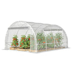 Polytunnel-Gewächshaus, begehbares Gewächshaus mit verzinktem Stahlrahmen und UV-beständiger PE-Abdeckung, transparent