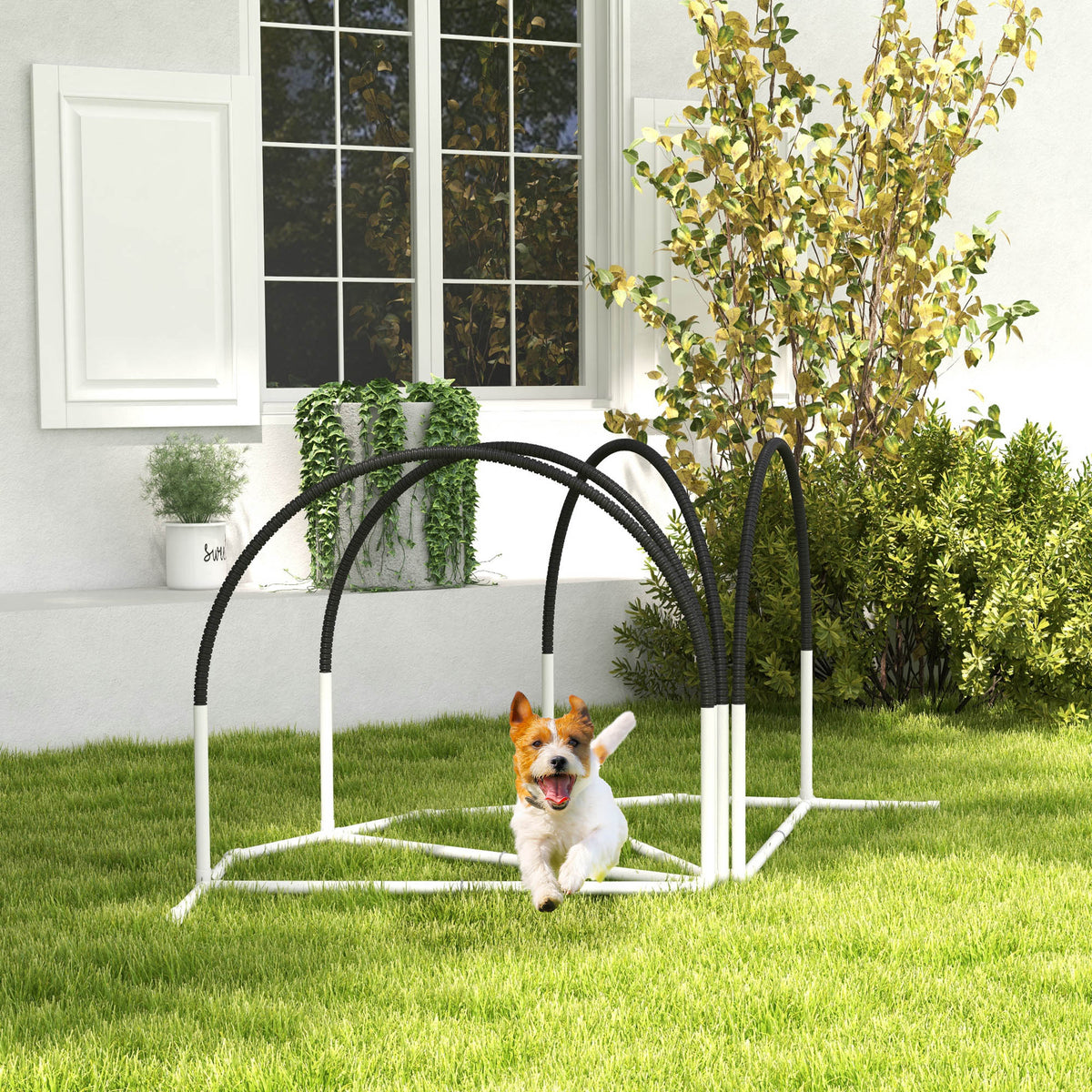 Hunde-Agility-Set Hundetrainingszubehör Agility-Set, 4 Teile, 89 x 69 x 99 cm, Weiß + Schwarz