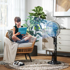 Ventilator mit Wasserkühlung, Luftbefeuchter, 10° Neigbar 70° Oszillierend 3 Geschwindigkeitsstufen 75W, Schwarz
