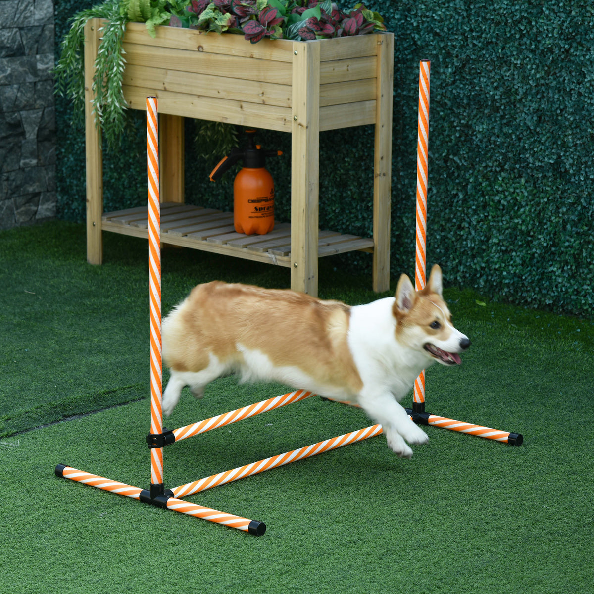  Agility Set Hunde, 6tlg. Agility-Ausrüstungs-Set mit Flechtstangen, Pfeife, Hundetraining Zubehör mit Tragetasche, für Park, Garten, Orange