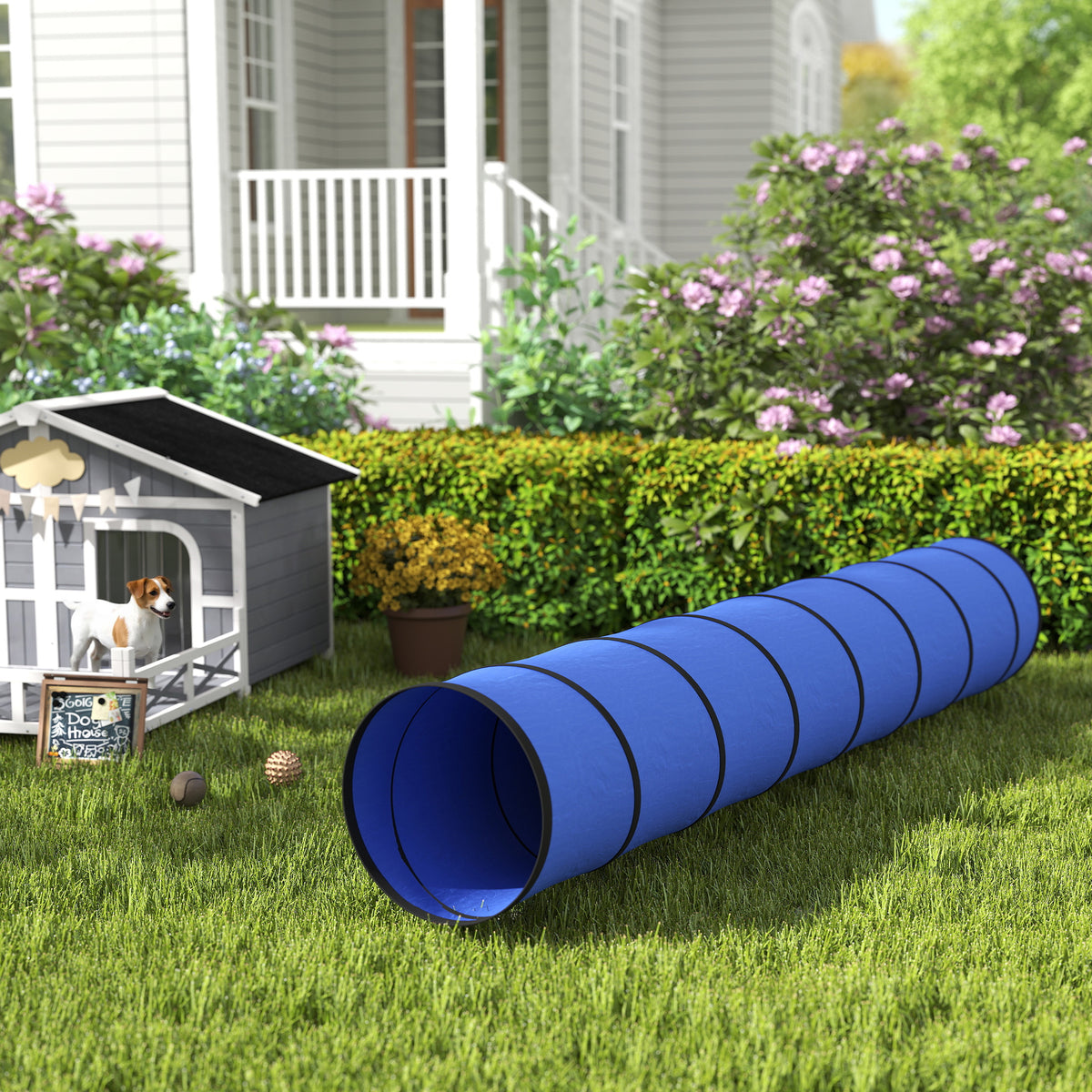 Dog Tunnel, 300 x 50 cm, Foldable Play Tunnel with 4 Pegs and Bag, Tear-Resistant Outdoor Dog Agility Equipment, Blue