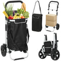 3-in-1 Einkaufstrolley klappbar mit 40L Kapazit?t belastbar Trolley bis 25kg mit K¨¹hlfach Schwarz