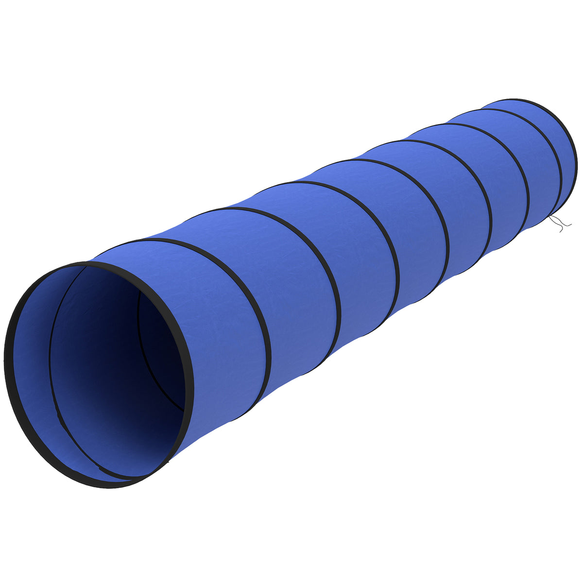 Dog Tunnel, 300 x 50 cm, Foldable Play Tunnel with 4 Pegs and Bag, Tear-Resistant Outdoor Dog Agility Equipment, Blue