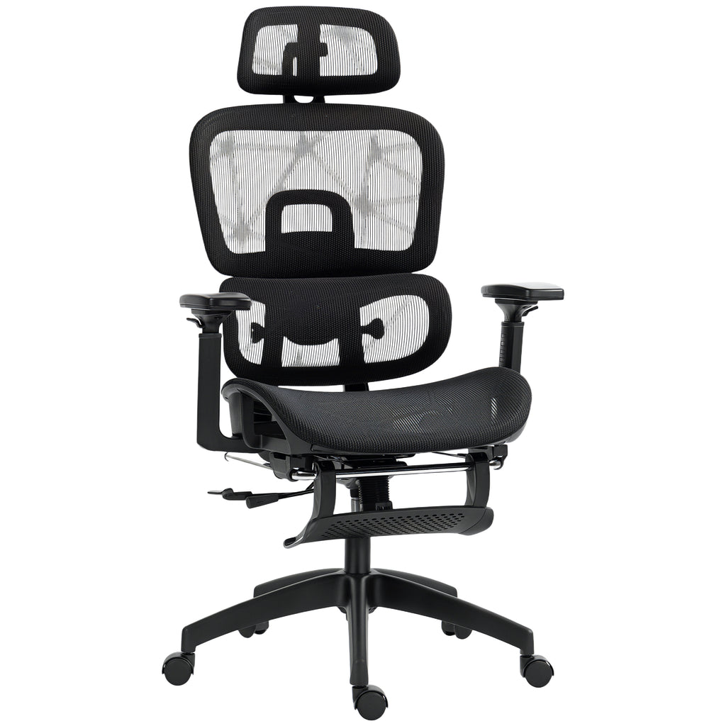 Multi-Adjustable Mesh Office Chair - Black