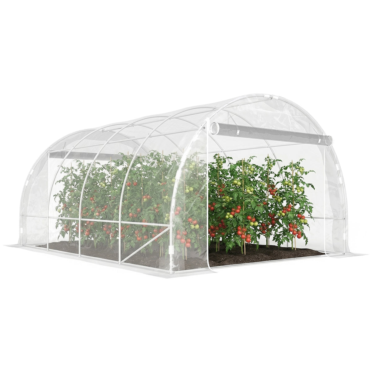 Polytunnel-Gewächshaus, begehbares Gewächshaus mit verzinktem Stahlrahmen und UV-beständiger PE-Abdeckung, transparent