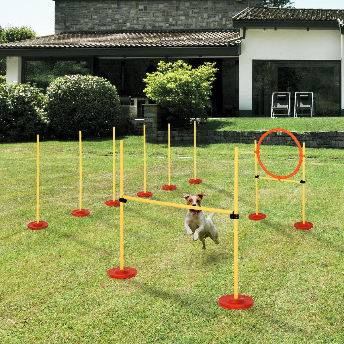 Dog Agility Equipment Training Portable Obstacle for Pet w/Adjustable Hurdles, Jumping Ring, Weave Poles