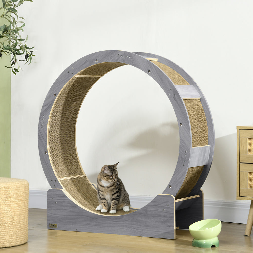 Cat Wheel with Brake, Scratching Pads - Grey