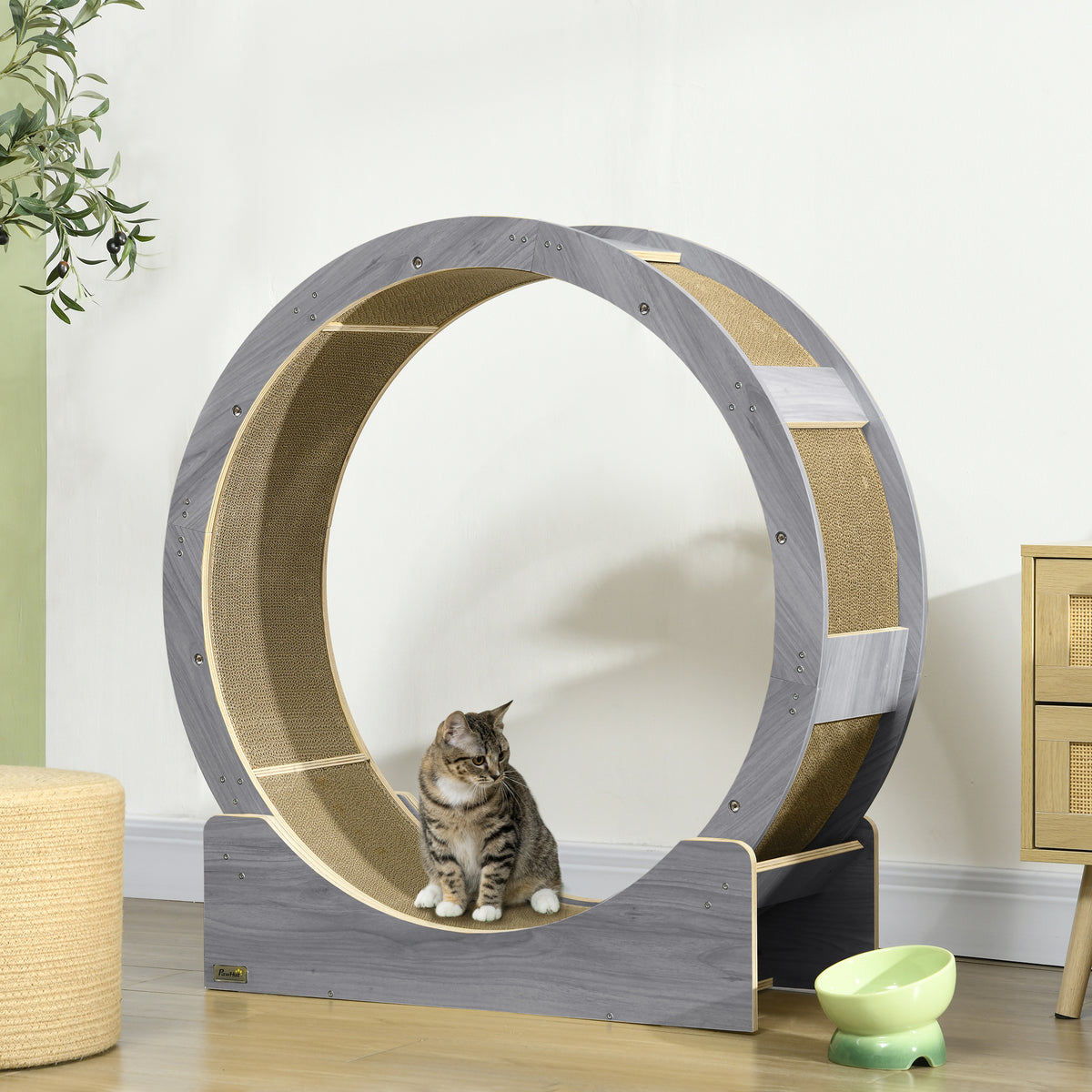 Cat Wheel with Brake, Scratching Pads - Grey