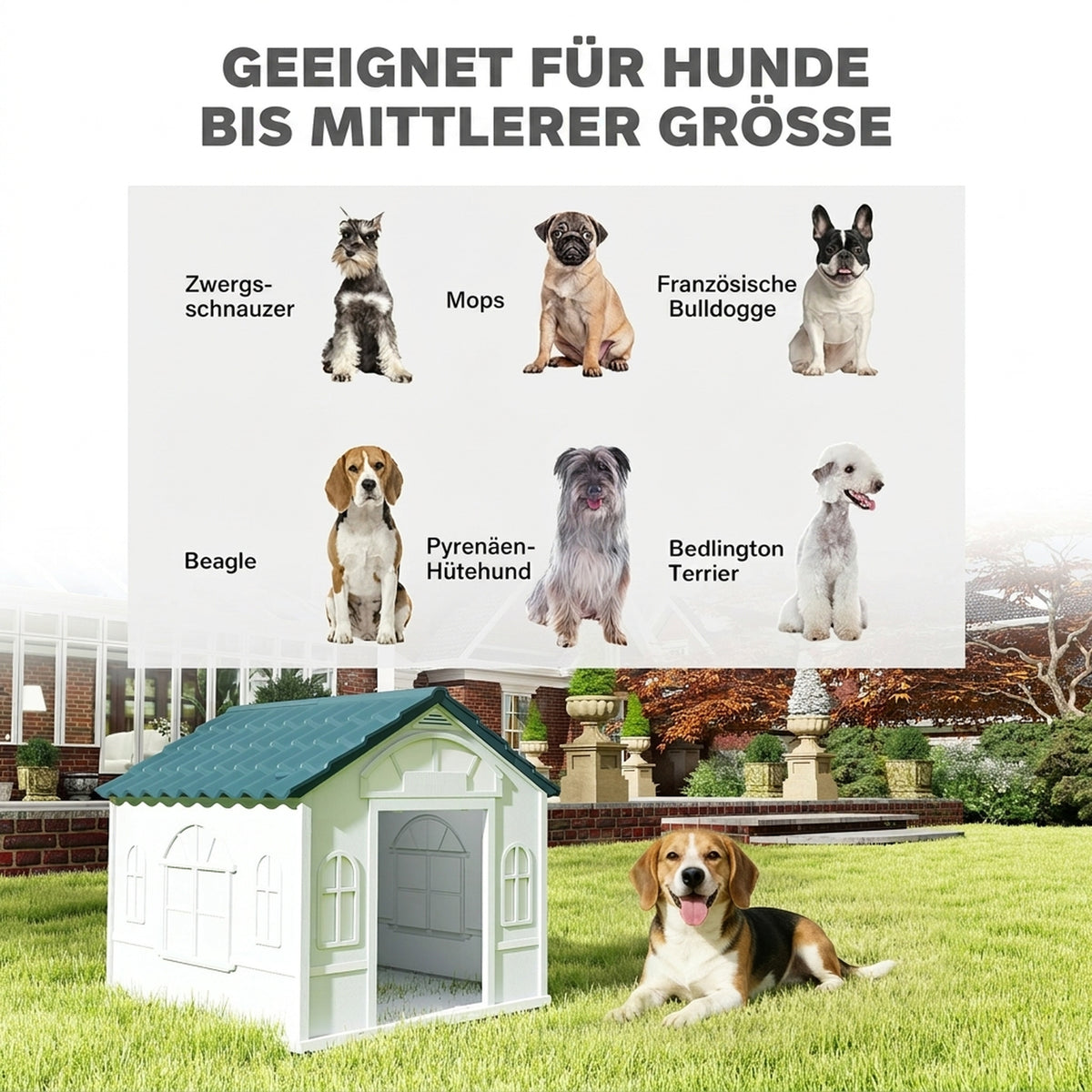Plastic Weather-Resistant Dog House, for Indoors and Outdoors, Medium Dogs - White and Blue