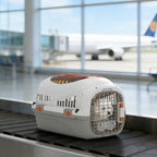 Plastic Pet Carrier Hard Shell Dog Cat Carrier Max 4 KG Steel Door Feed Bowl Secure Lock 49 x 32 x 31 cm