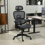 Multi-Adjustable Mesh Office Chair - Black