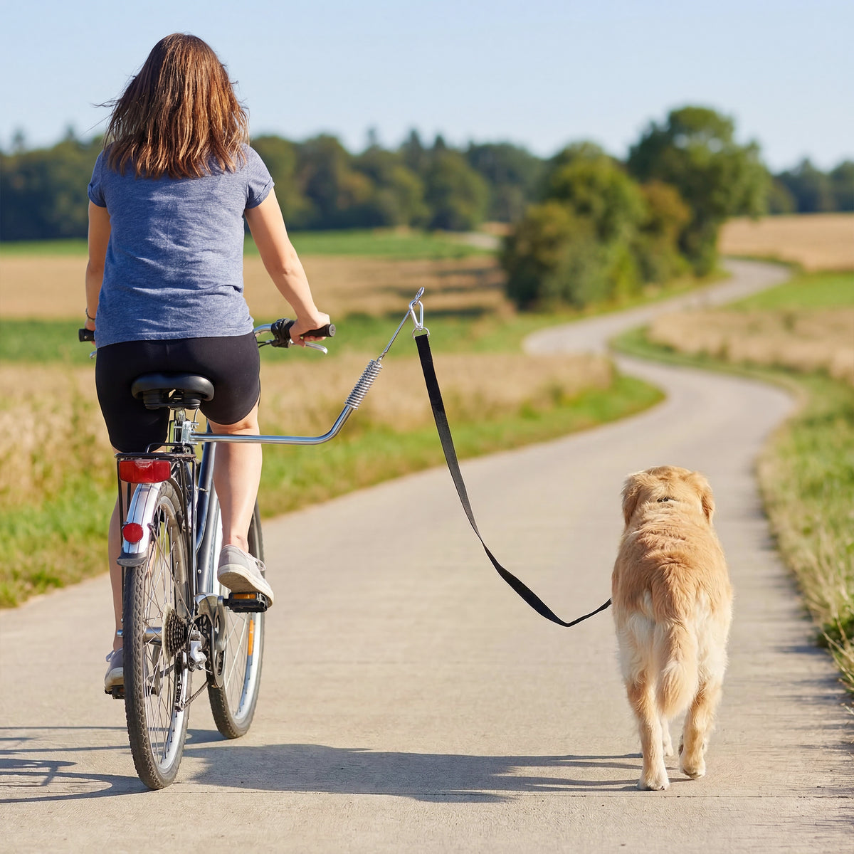 Fahrradleine für Hunde mit Stoßdämpfern verstellbar Gurt abnehmbar Schnellverschluss für Training Joggen Silber+Schwarz