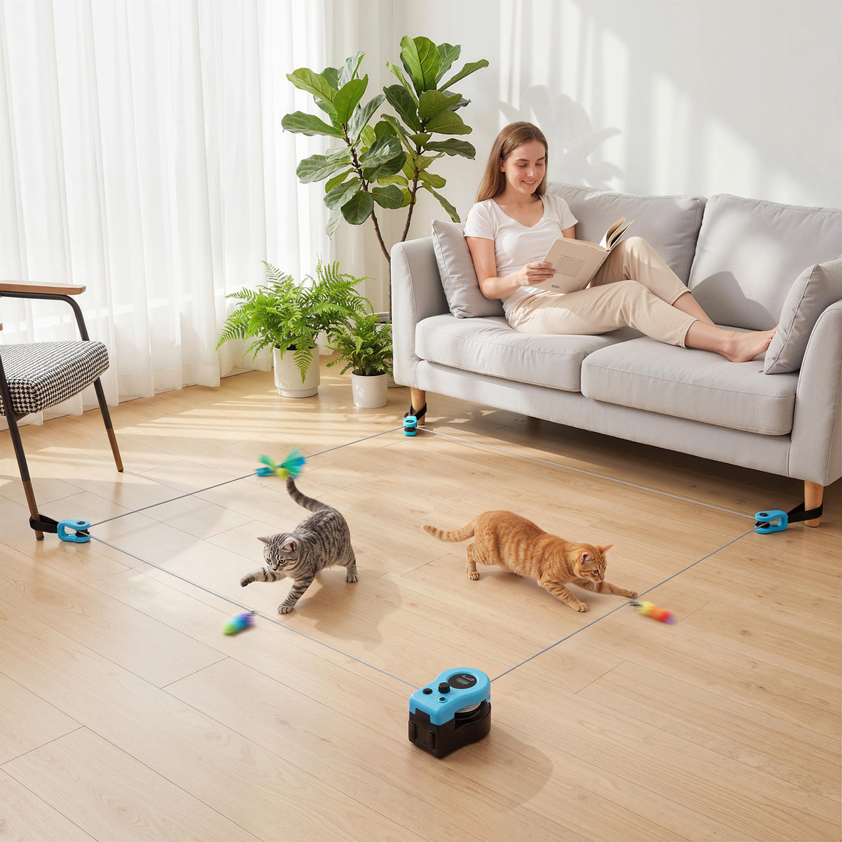 Interactive Cat Toy for Indoor Kittens & Adult with Adjustable Speed, DIY Track & Mouse Sound