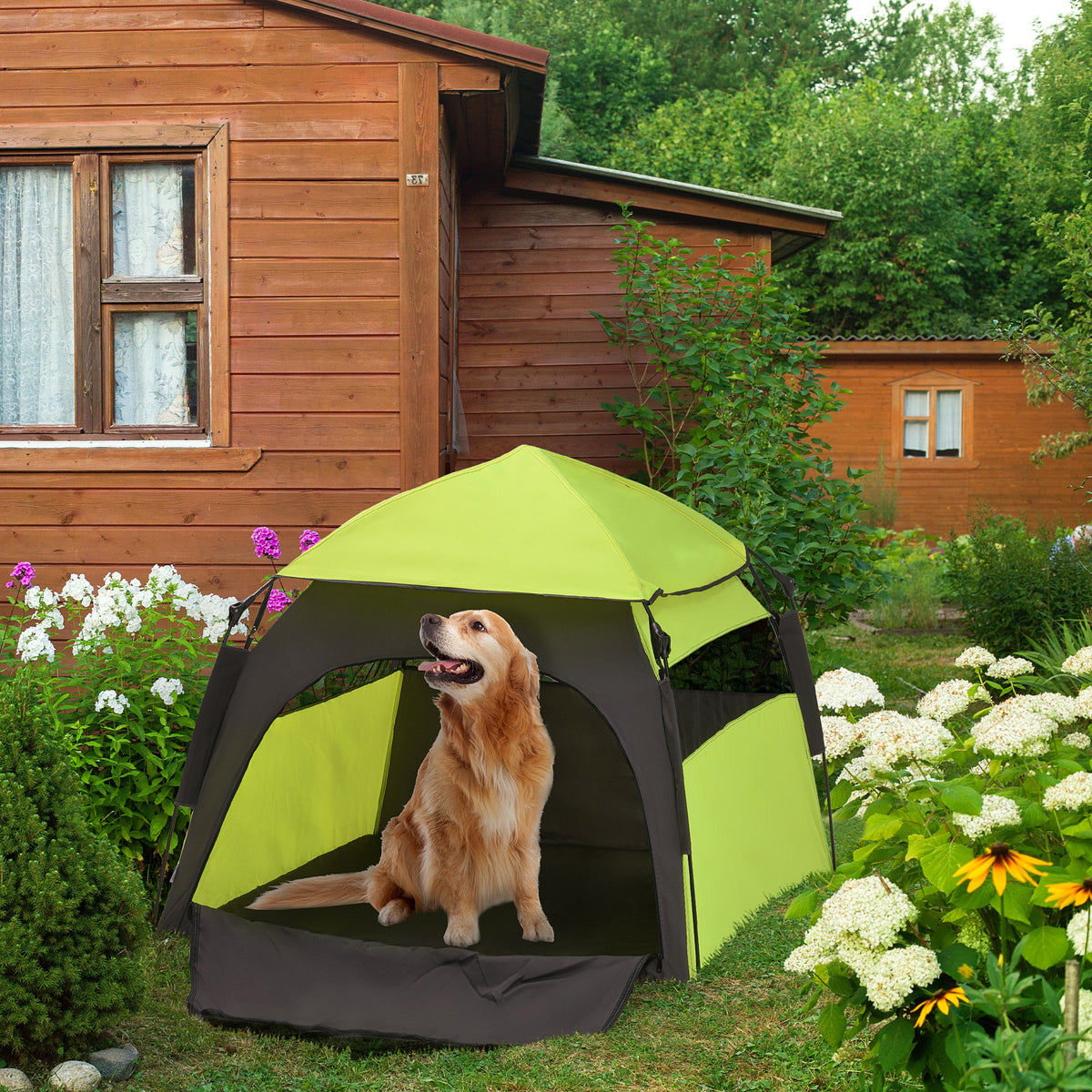 Foldable Dog Cat Tent with Water-Resistant Oxford, Carry Bag for Extra Large Dog, Green
