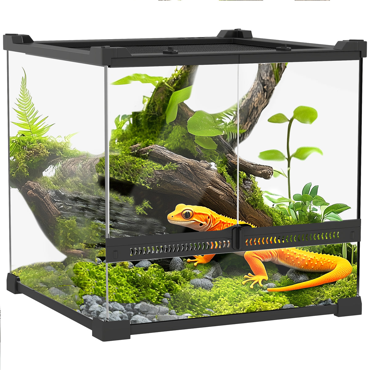 Glas-Terrarium f¨¹r Reptilien, erh?hter & wasserdichter Boden, Knopfschloss