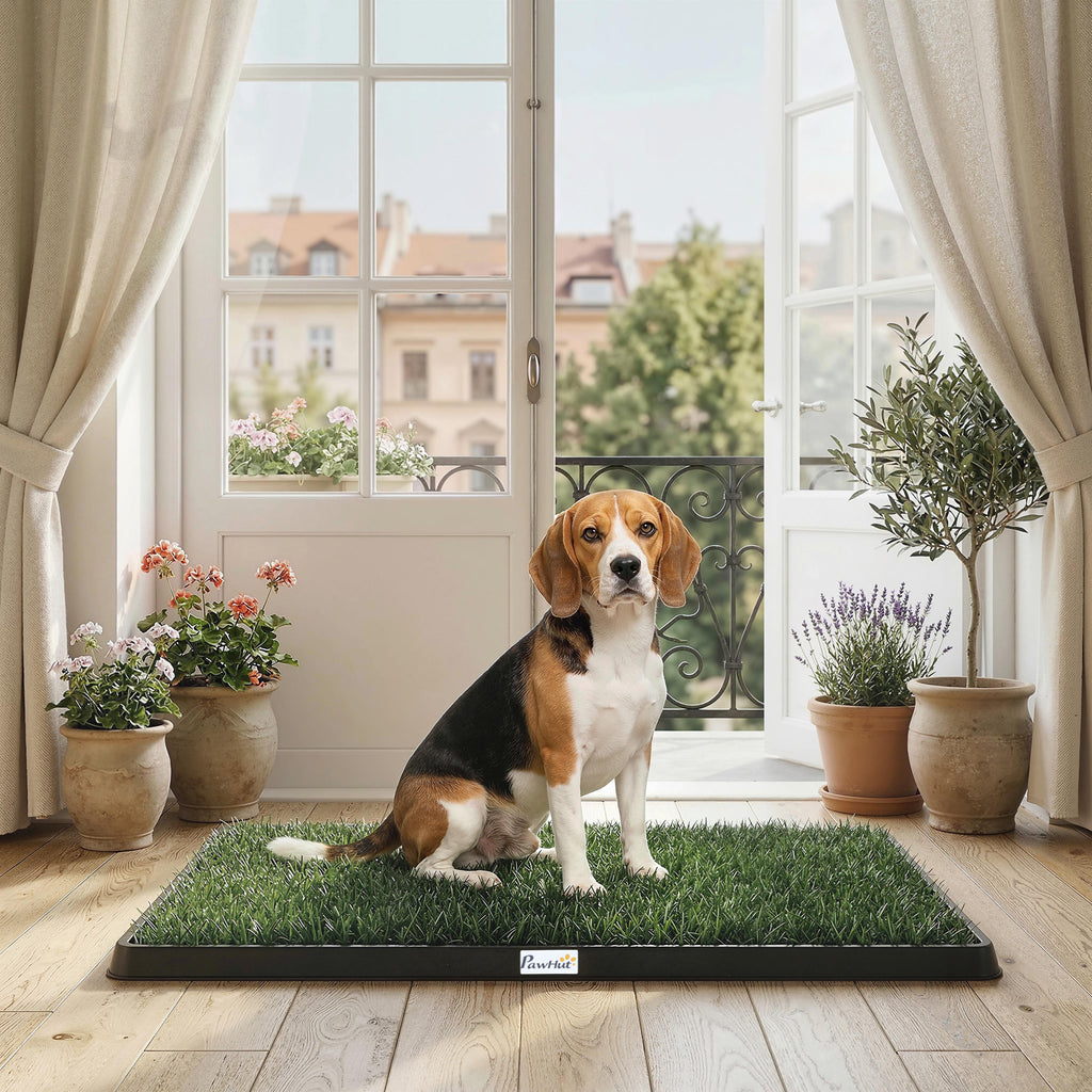 Hundetoilette 76 x 50,5 cm Hundeklo mit 2 Kunstrasen waschbar Welpentoilette für Hunde für Balkon Zuhause Schwarz+Grün