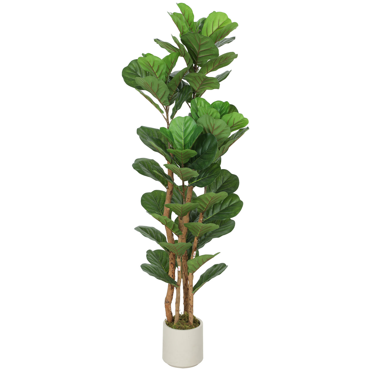 150cm Artificial Fiddle Leaf Fig Tree - Green