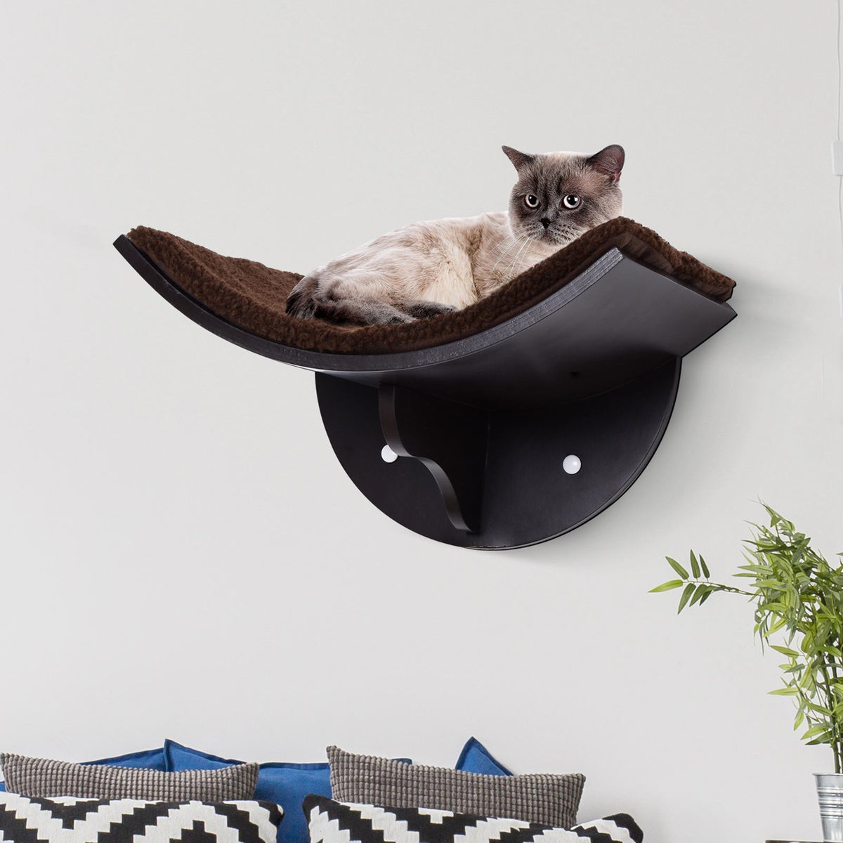 PwaHut Kletterwand Katzen Katzen Kletterwand Katzenregal, Wandmontage Plüschauflage, Wand Katzenmöbel bis zu 4,5 kg, Braun