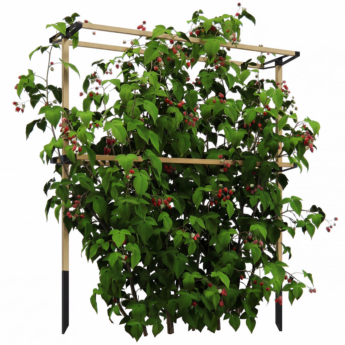 Rankgitter aus Metall zum Stecken rostfrei Rankhilfe Gurken Spalier 119 x 34 x 139 cm für Himbeeren, Brombeeren Natur