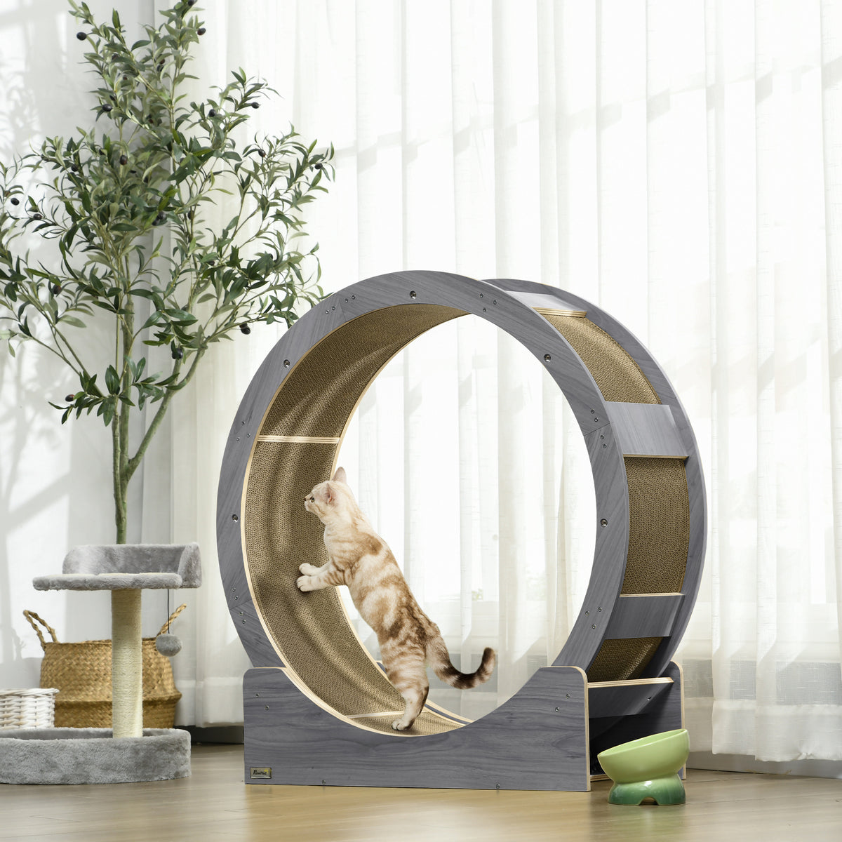 Cat Wheel with Brake, Scratching Pads - Grey
