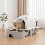 Katzentoilette Edelstahl mit abnehmbarem Deckel, Schaufel & Aktivkohlefilter für kleine bis mittelgroße Katzen, Grau