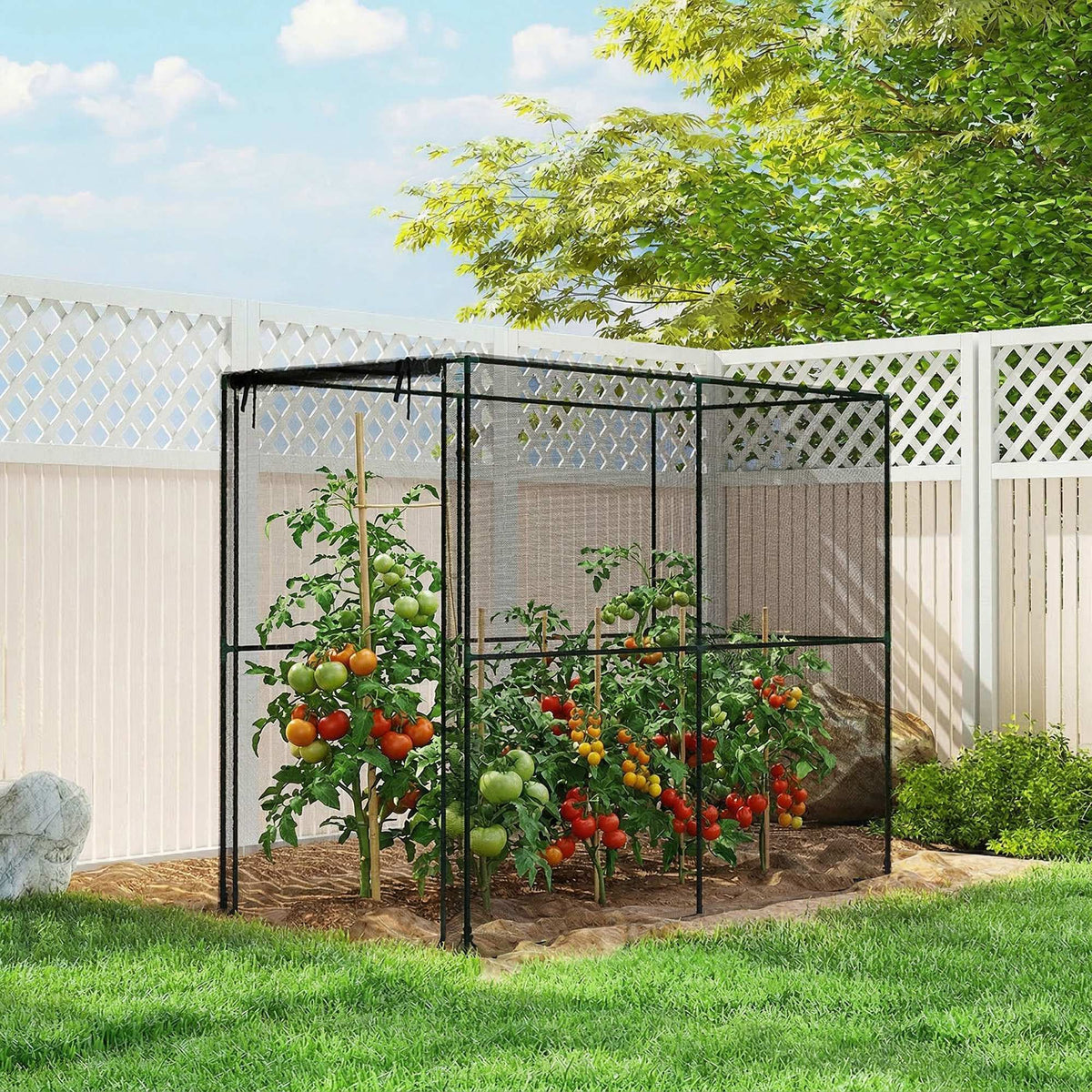 Fruit Cage Bird Netting, Brassica Cage Plant Protection Tent with Zipped Door, Anti Bird, Insects, Small Animals, Black